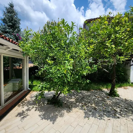 Holiday home La Ioio